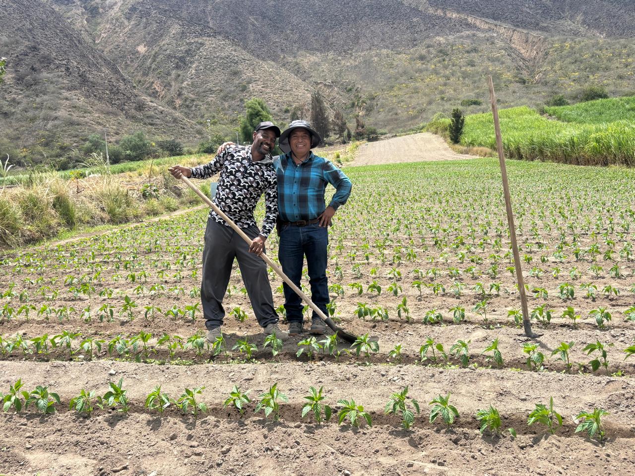 Trabajo técnico con productores en campo